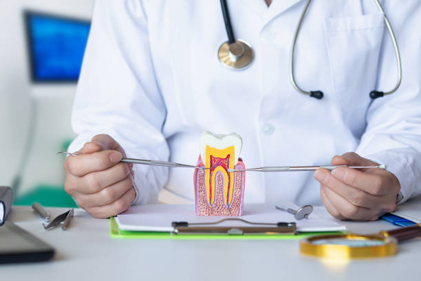 Best Emergency Wisdom Teeth Removal in East Jordan, MI
